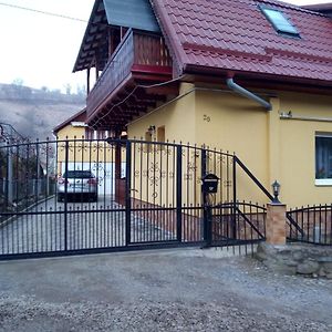 Отель Casa Vio Сигишоара Exterior photo