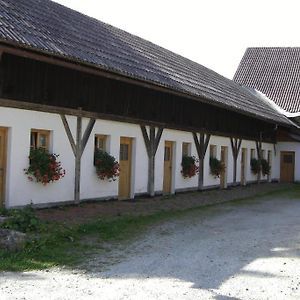 Отель Landgasthof Duellhof Schaufling Exterior photo