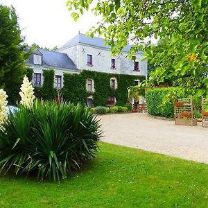 Bed and Breakfast Moulin De Gaubourg Saint-Melaine-sur-Aubance Exterior photo