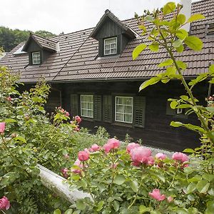 Das Altsteirische Landhaus - La Maison De Pronegg - Feriendomizil Im Biospharenpark Wienerwald Пресбаум Room photo