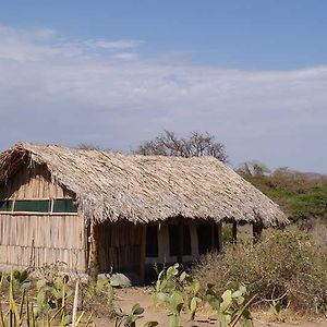 Отель Tindiga Tented Camp Mangola Exterior photo