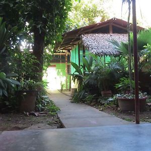 Tambopata Hostel Bambu Пуэрто-Мальдонадо Exterior photo