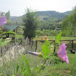 Вилла Le Spighe Agriturismo Чезена Exterior photo