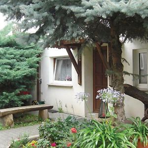 Lovely Home In Heideblick With Kitchen Langengrassau Exterior photo