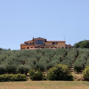 B&B La Casa Fra Gli Olivi Маршано Exterior photo