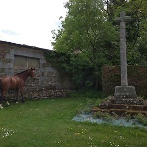 Bed and Breakfast Haras De La Croix D'Argent Saint-Sauveur-de-Carrouges Exterior photo