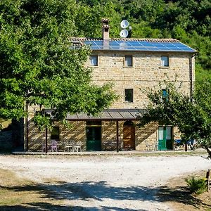 Вилла Agriturismo Foglie Губбио Exterior photo