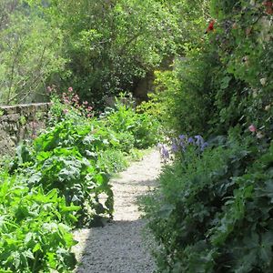 Bed and Breakfast La Ferme De La Condamine Saint-Andre-de-Rosans Exterior photo