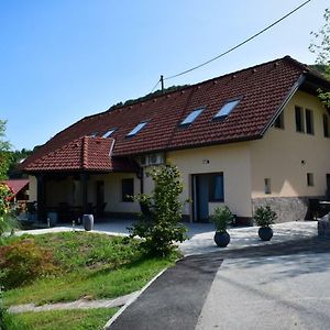 Farm Stay Zevnik Брежице Exterior photo