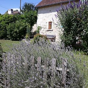 Вилла Le Misteflore Coussay-les-Bois Exterior photo