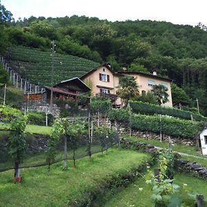 Апартаменты Casa Immersa Nel Vigneto Roveredo Exterior photo