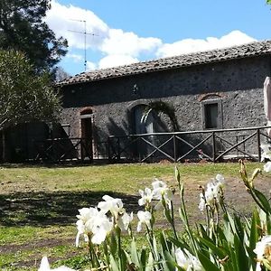 Вилла Poggio Roseto Рандаццо Exterior photo