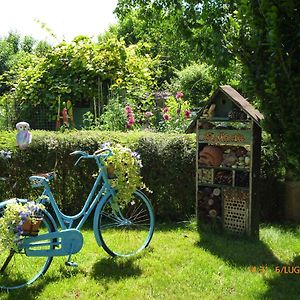 Bed & Bike Belfiore Монтаньяна Exterior photo