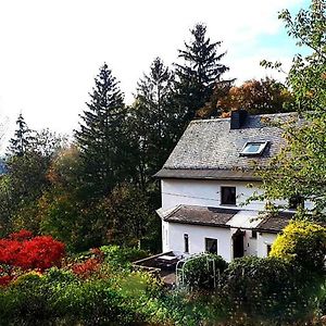 Отель Green Corner Nuerburg Exterior photo