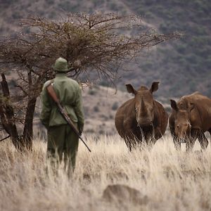 Отель Elewana Lewa Safari Camp Meru Exterior photo