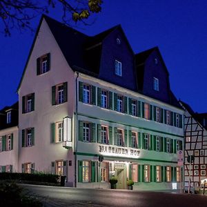 Hotel Nassauer Hof Лимбург-ан-дер-Лан Exterior photo