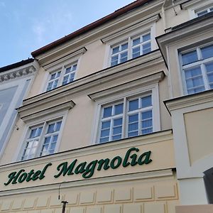 Hotel Magnolia Роуднице-над-Лабем Exterior photo