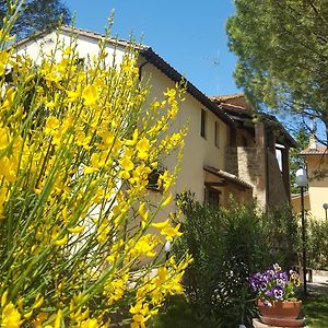 Гостевой дом Agriturismo La Ginestrella Civitella D'Arna Exterior photo