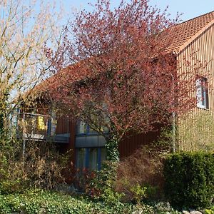 Отель Gaestehaus/Fewos/Boardinghaus Lueneburg Sued Exterior photo