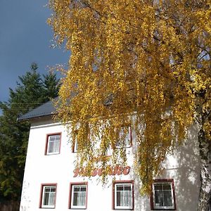 Villa Plischke Липова-Лазне Exterior photo