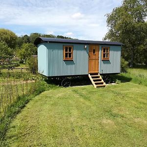 Gaggle Of Geese Pub - Shepherd Huts & Bell Tents Дорчестер Exterior photo