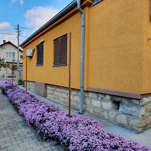 Guesthouse Stojanovic Неготин Exterior photo