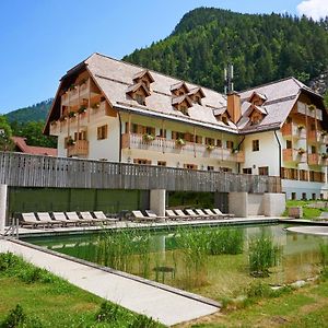 Hotel Plesnik Logarska Dolina Солчава Exterior photo