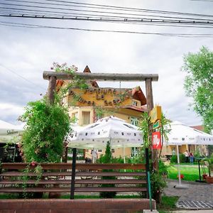 La Padure Pensiune-Restaurant Новач-Стрэйни Exterior photo