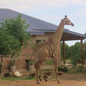 Mkhiweni Villa At Dombeya Wildlife Estate Мбабане Exterior photo