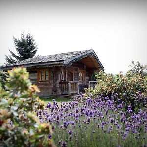 Hotel Le Manoir Des Montagnes Ле-Русс Exterior photo