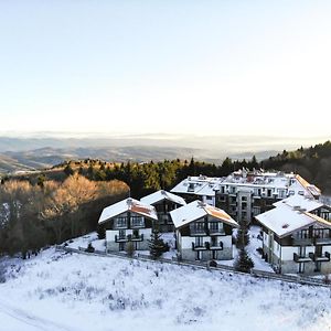 Вилла Chalet Mechka Боровец Exterior photo