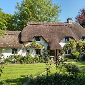 Bed and Breakfast Thatched Eaves Ibsley Exterior photo