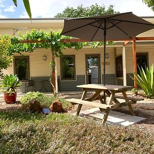 Отель The Grape And Olive At Willunga Exterior photo