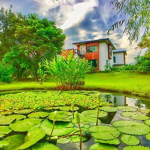 雲起軒民宿 Cloudscape B&B Цзянь Exterior photo