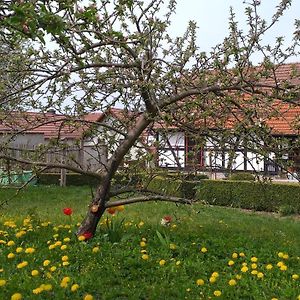 Отель Pension Toepferhof Бад-Берка Exterior photo