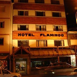 Hotel Flamingo Сан-Карлос-де-Барилоче Exterior photo