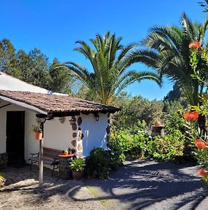 Гостевой дом Finca Llano De La Cebolla Икод-де-лос-Винос Exterior photo