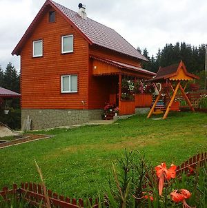 Romashka Guest House Яблоница Exterior photo