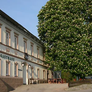 Отель Gasthof Hehenberger Wallsee Exterior photo