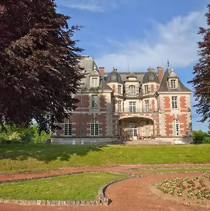 Chateau De Joyeux - Gites Exterior photo