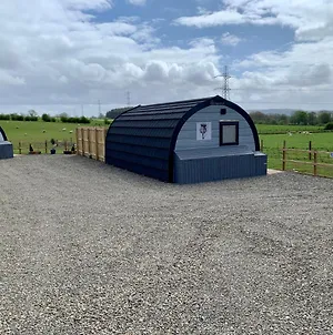 Thistle Pod At Ayrshire Rural Retreats Farm Stay Hottub Sleeps 2 Galston  Exterior photo