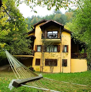 Abant'Ta 4+1 Orman Havasi Imkani Saglayan Villa Arkaoglukoyu Exterior photo