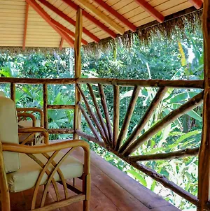 Suchipakari Amazon Eco -Lodge & Jungle Reserve Misahualli Exterior photo