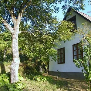 Freistehendes Ferienhaus In Dobrokoz Mit Garten, Terrasse Und Grill Exterior photo