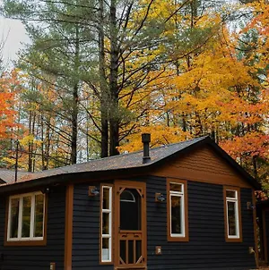 The Doma Lodge - Cozy Muskoka Cabin In The Woods Хантсвилл Exterior photo