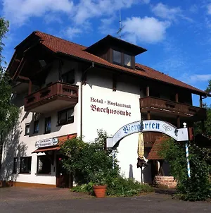 Hotel Bacchusstube Garni Goldbach  Exterior photo