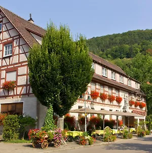 Отель Gasthof Restaurant Hirsch Бад-Дитценбах Exterior photo