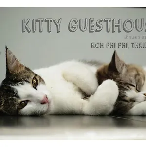 Kitty Guesthouse Пхипхи Exterior photo